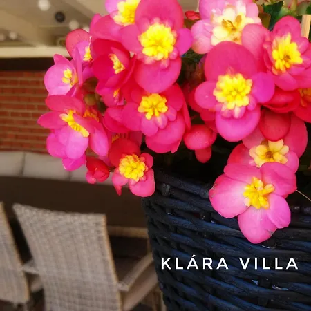 Apartamento Klára