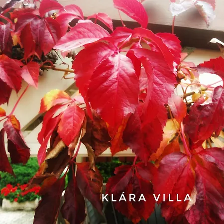 Klara Apartmán Hévíz