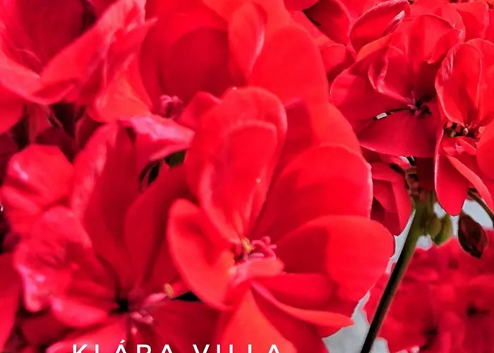 Klara Villa Heviz Heviz