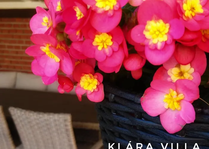 Apartment Klara Villa Heviz